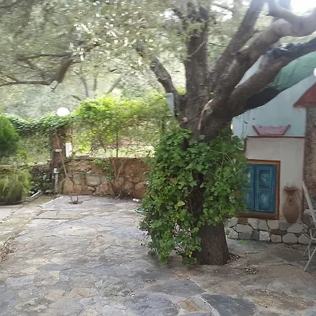 Kizilagac Ciftlik Evi Farm stay