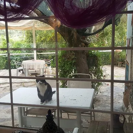 Kizilagac Ciftlik Evi Farm stay Yaliciftlik